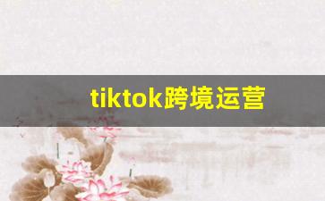 tiktok跨境运营_Tik Tok店铺模式